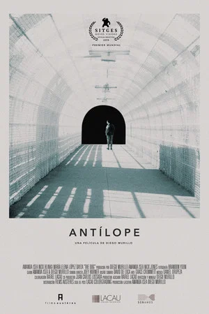 Постер: Antelope