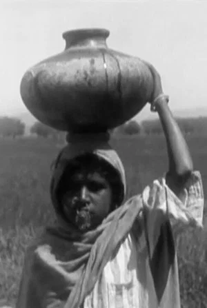 Постер: A Punjab Village