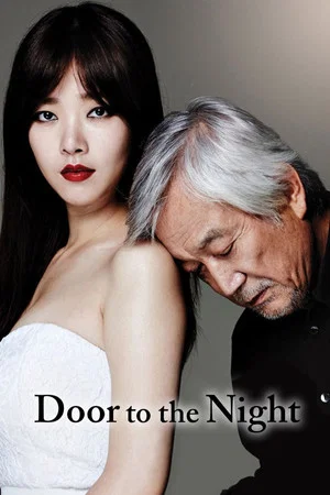 Постер: Door to the Night