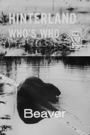 Постер: Hinterland Who's Who: Beaver