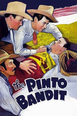 Постер: The Pinto Bandit