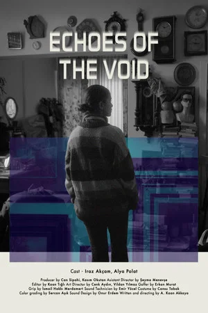 Постер: Echoes of the Void