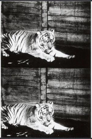 Постер: Beasts of the Jungle