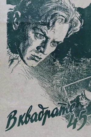 Постер: В квадрате 45