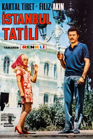 Постер: Istanbul Holiday