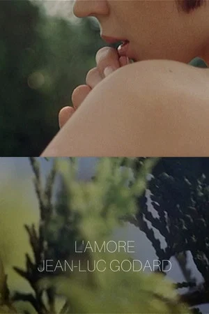 Постер: L'amore