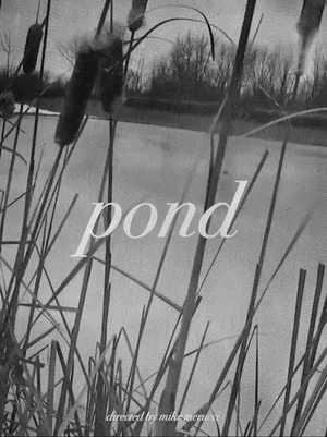 Постер: Pond