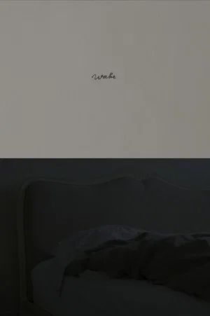 Постер: Wake
