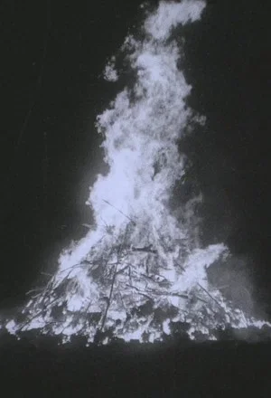Постер: Rat Fire