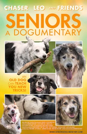 Постер: Seniors: A Dogumentary