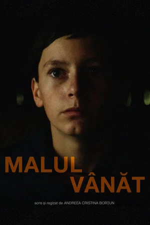 Постер: Malul Vânăt