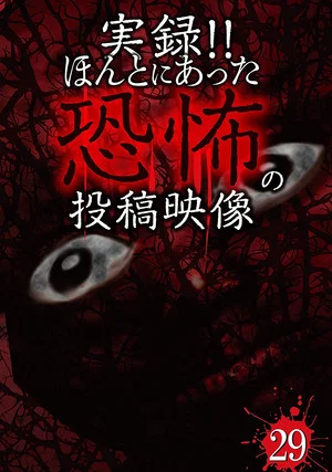Постер: Actual Record! Real Horror Posted Video 29