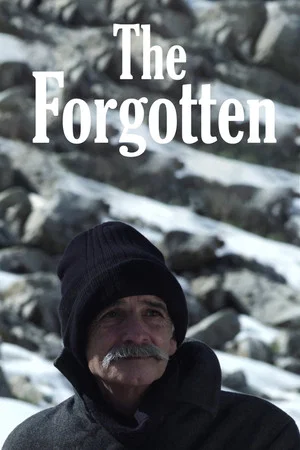 Постер: The Forgotten