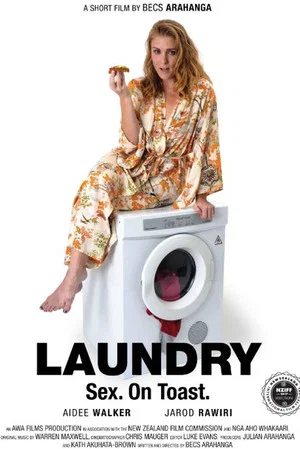 Постер: Laundry
