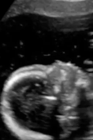 Постер: I Was Born In 1988