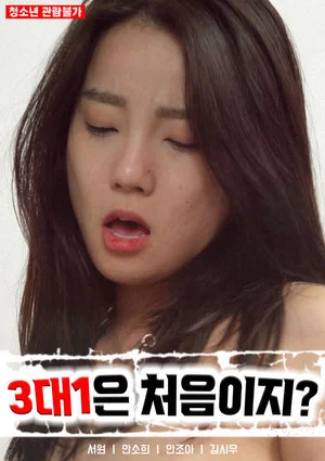 Постер: 3대 1은 처음이지?