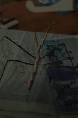 Постер: Walking Stick
