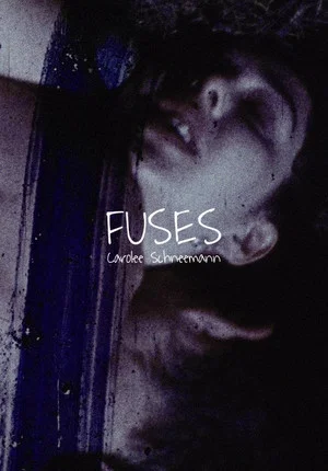 Постер: Fuses