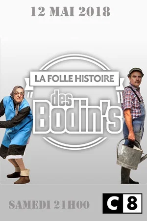 Постер: La Folle Histoire des Bodin's