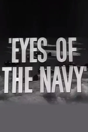 Постер: Eyes of the Navy