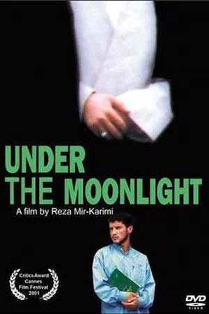 Постер: Under the Moonlight