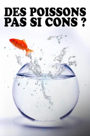 Постер: Des poissons, pas si cons ?