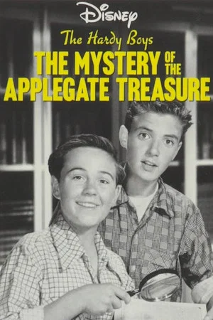 Постер: The Hardy Boys: The Mystery of the Applegate Treasure