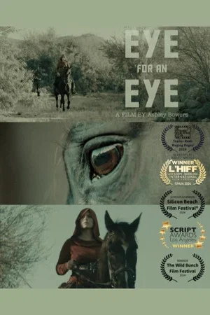 Постер: Eye for an Eye