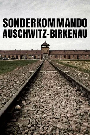 Постер: Sonderkommando Auschwitz-Birkenau