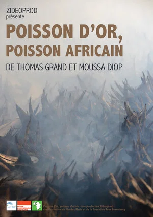Постер: Golden Fish, African Fish