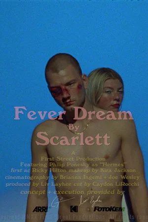 Постер: Fever Dream
