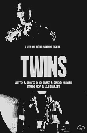 Постер: Twins