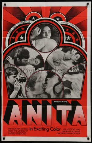 Постер: Anita