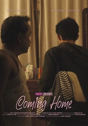 Постер: Coming Home