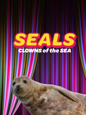 Постер: Seals - Clowns of the Sea