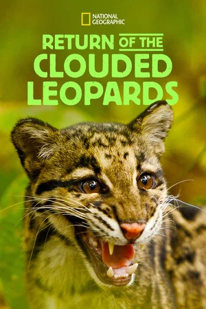 Постер: Return of the Clouded Leopards