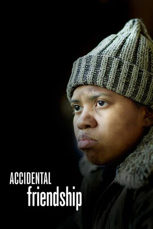 Постер: Accidental Friendship