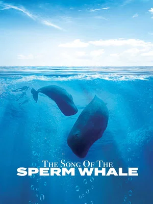 Постер: Song of the Sperm Whale