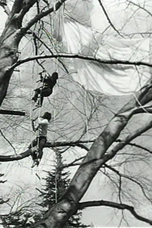 Постер: Tree Dance