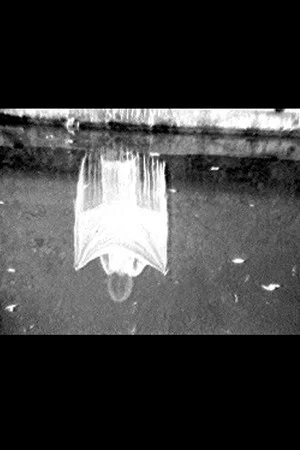 Постер: Disturbances