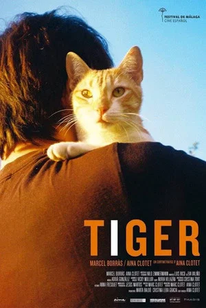 Постер: Tiger