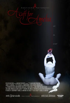 Постер: A Gift for Amelia