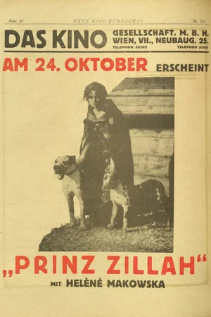 Постер: Il principe Zilah