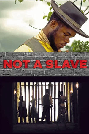 Постер: Not a Slave
