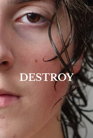 Постер: Destroy
