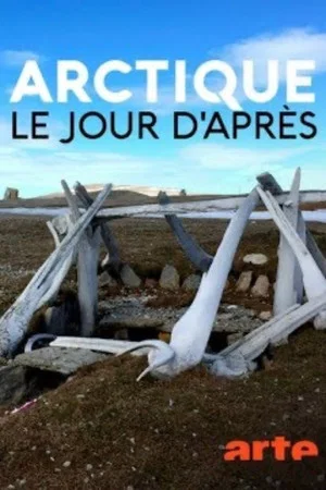 Постер: Arctique – Le jour d'après