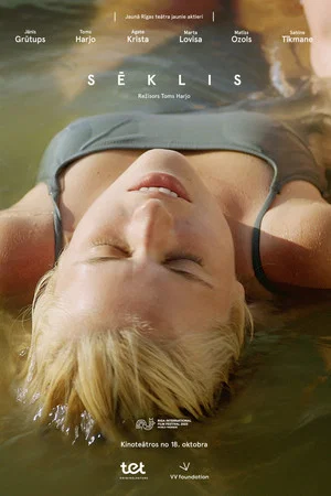 Постер: Shoal