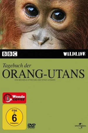 Постер: Tagebuch der Orang-Utans