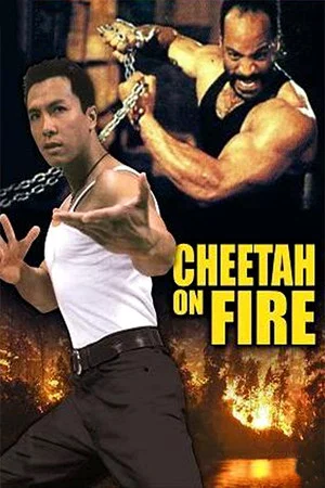 Постер: Cheetah on Fire