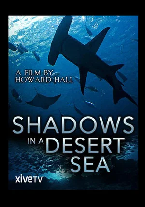 Постер: Shadows in a Desert Sea